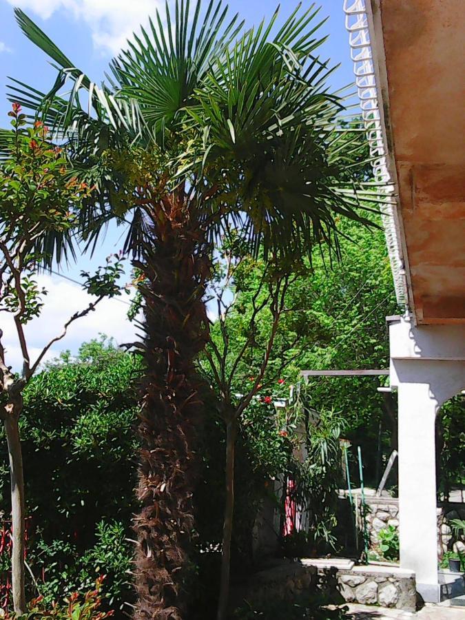 Villa Maja Omišalj Rum bild