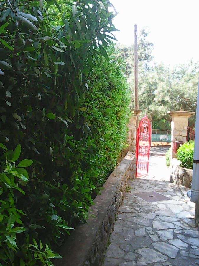 Villa Maja Omišalj Rum bild